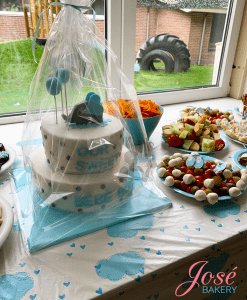 Babyshower taart met olifant en ballonnen 28 personen bestellen